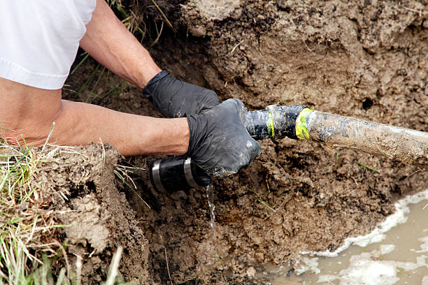 Best Commercial Plumbing Services  in Columbia, IL